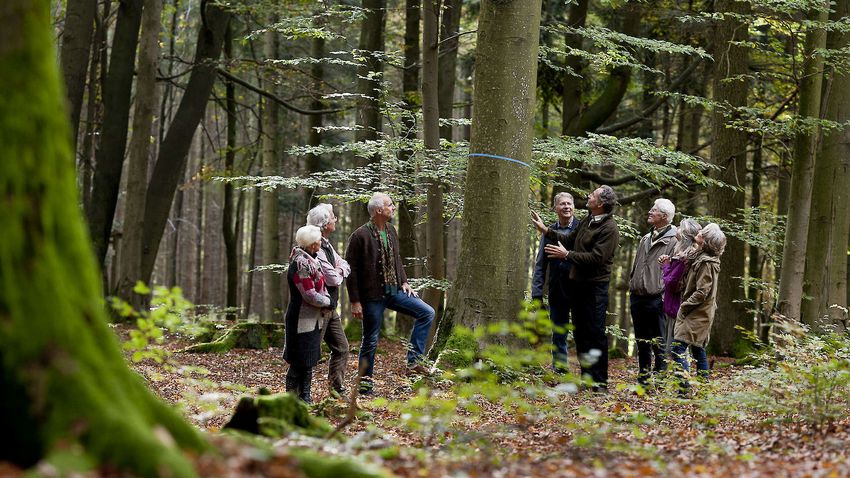 Bei der Waldführung erklärt die FriedWald-Försterin oder der FriedWald-Förster die Idee und beantwortet Fragen.